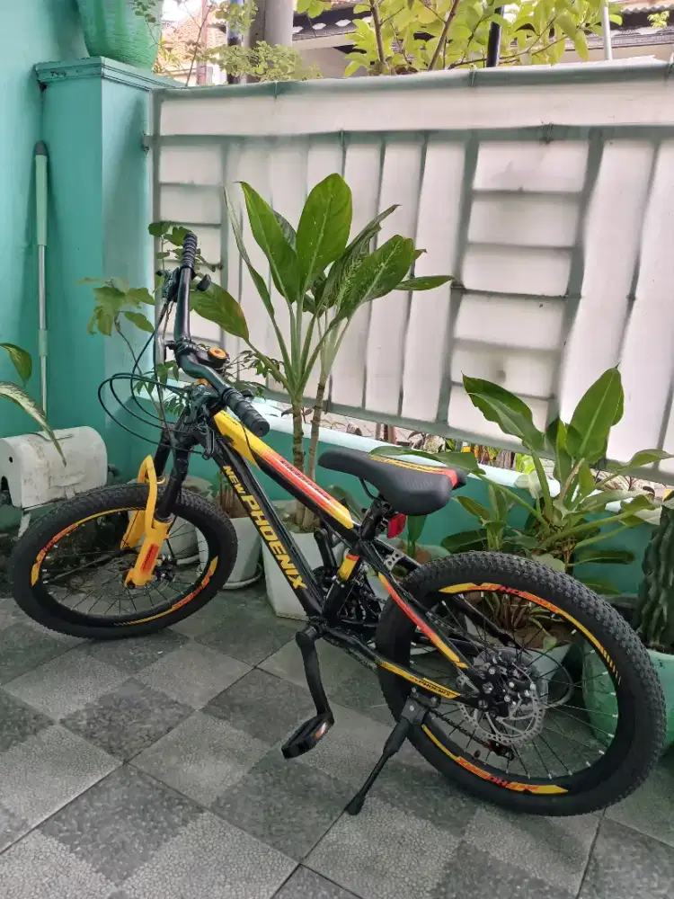 Sepeda MTB New Phoenix BSB Pembelian 25 Maret 2026