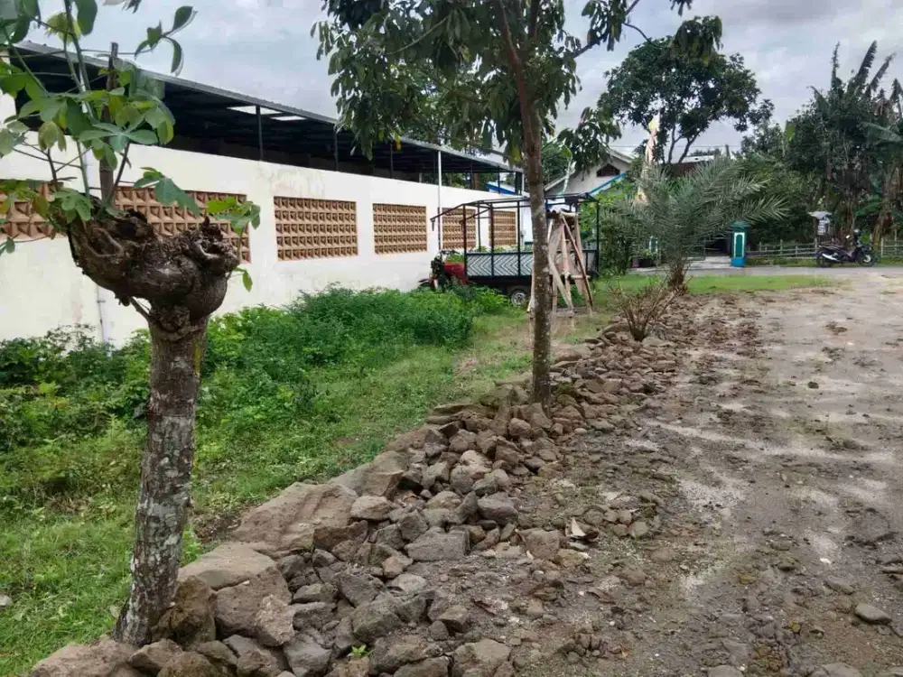 Kavling dijual 66m² muka 7m+, 2 menit dari pasar bekonang Mojolaban :
* samping barat klinik Dr Sri Widatik
* samping timur gedung IPHI