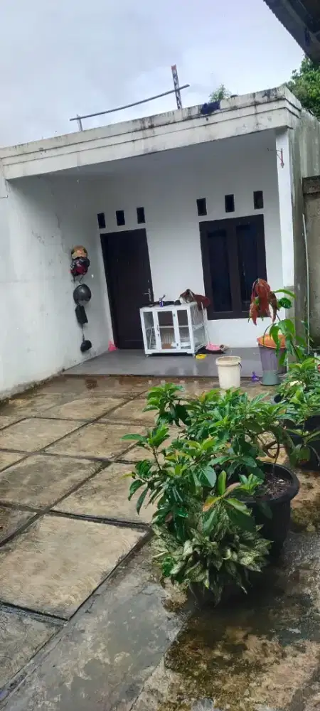 Jual Cepat, Murah Meriah Butuh Uang