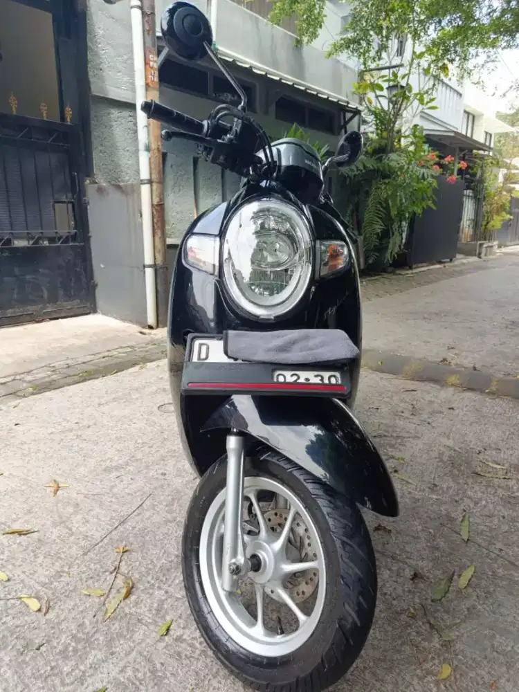 Scoopy stylis th 2020