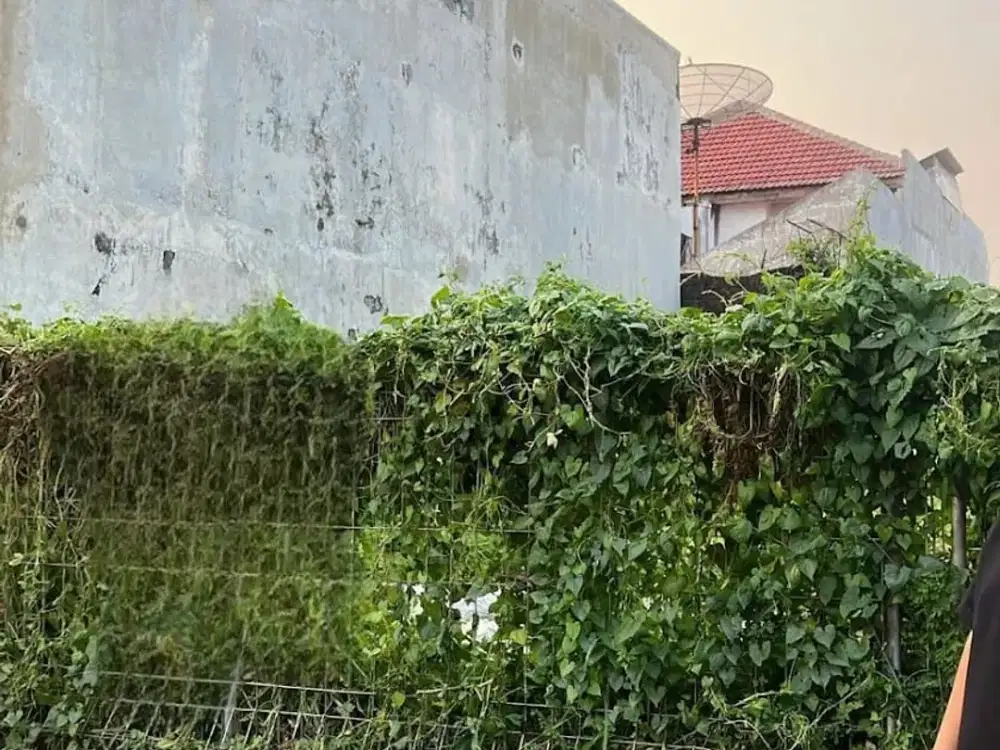 Tanah Klampis Surabaya Timur