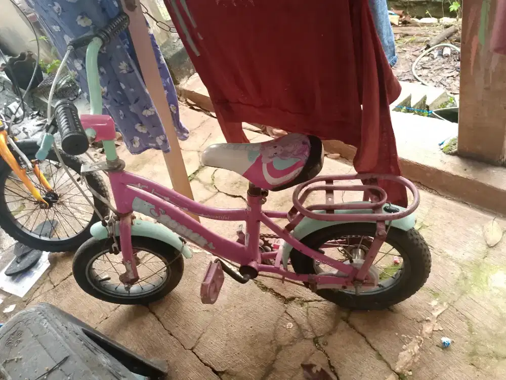 Sepeda anak merk rubick