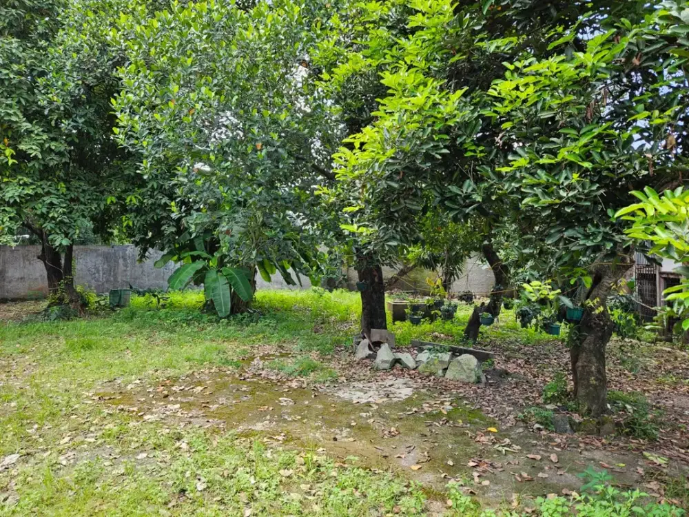 Dijual Rumah di Cipayung