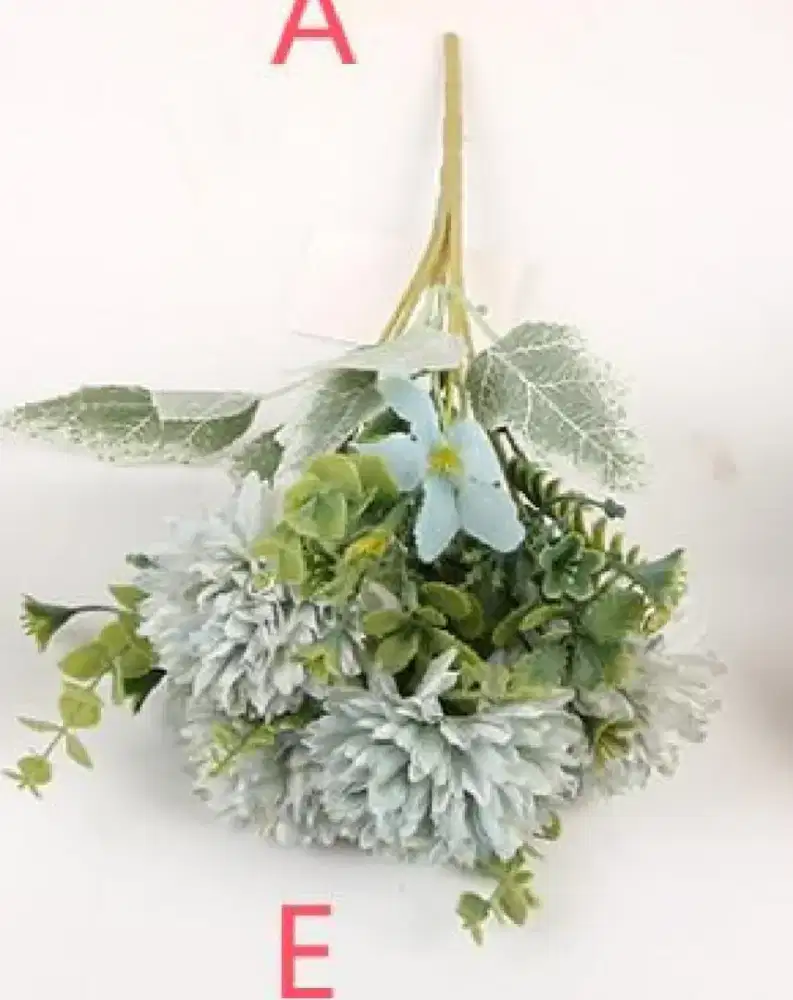 Dibutuhkan pekerja livestream dan packing