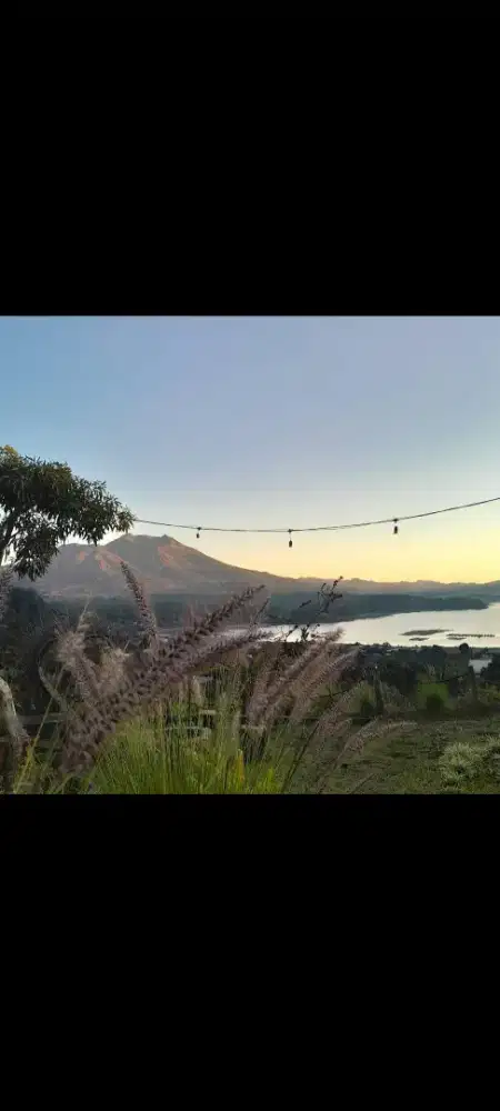 Dijual tanah murah,2 hektar di kintamani bangli