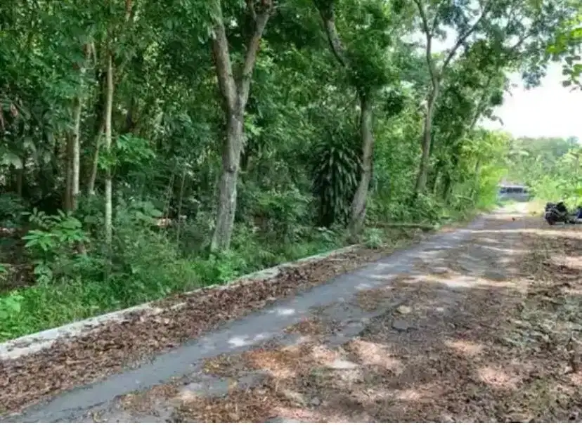 Tanah Kering/Pekarangan Hadap Jalan Lebar Dengan Muka 29m