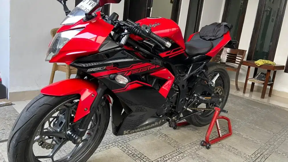 Kawasaki Ninja Mono 2017