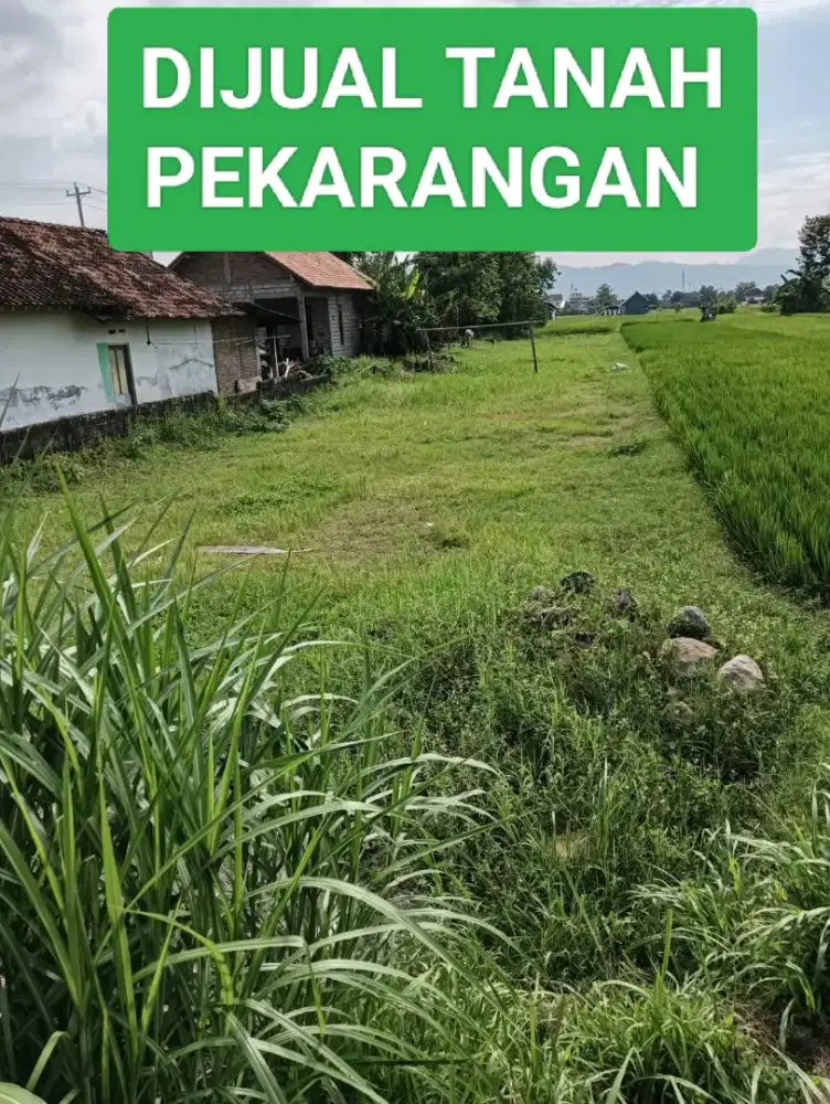 TANAH PEKARANGAN DI SLEMAN