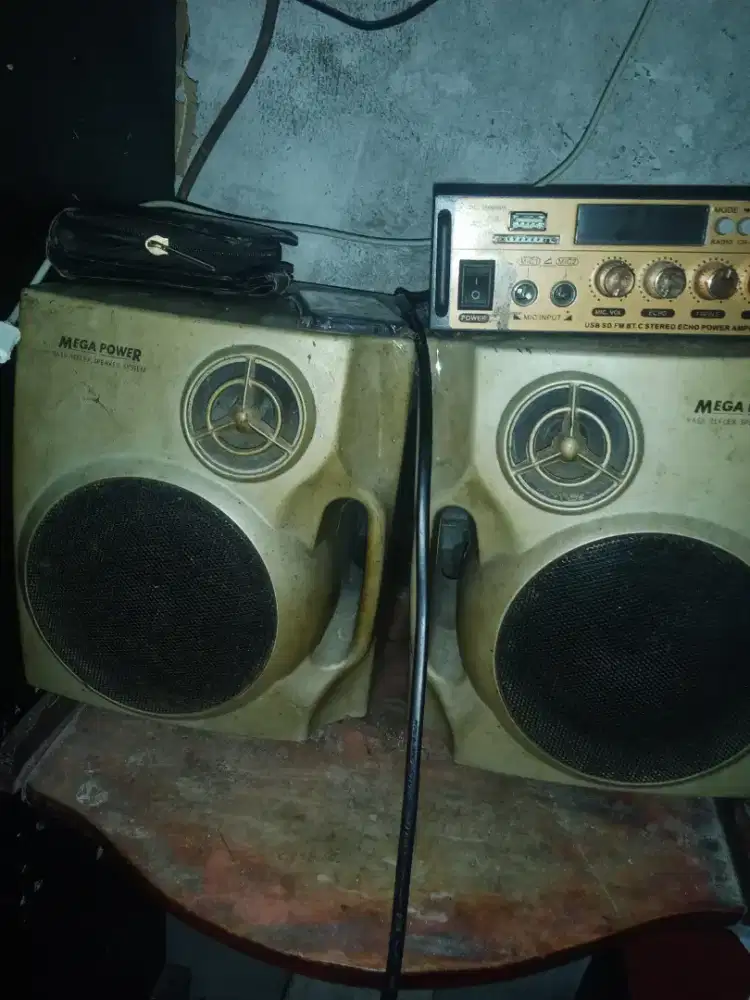 Ampli mini +salon polytron.