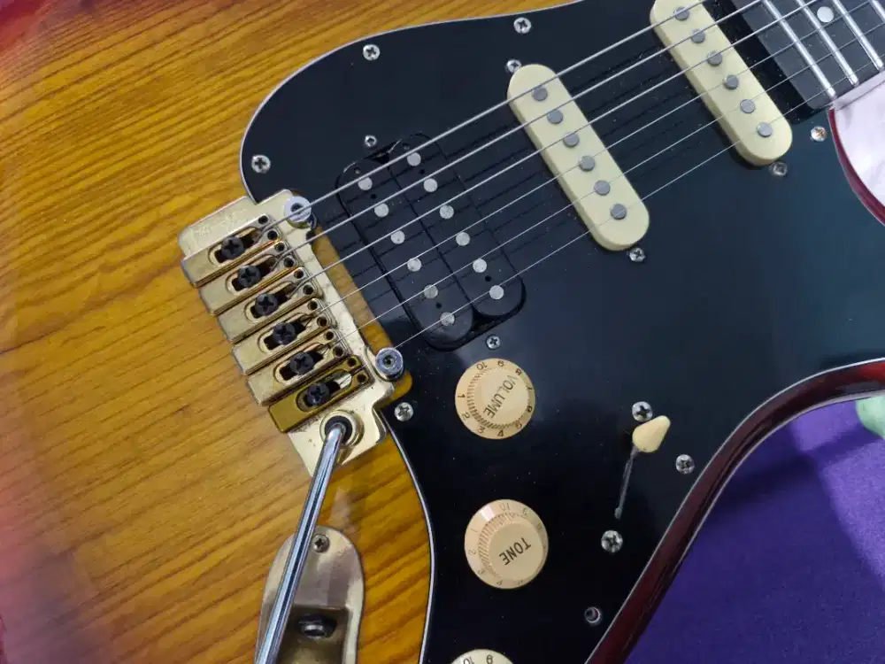 Stratocaster like Fender Charvel wilkinson texas
