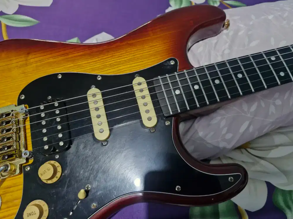 Stratocaster like Fender Charvel wilkinson texas