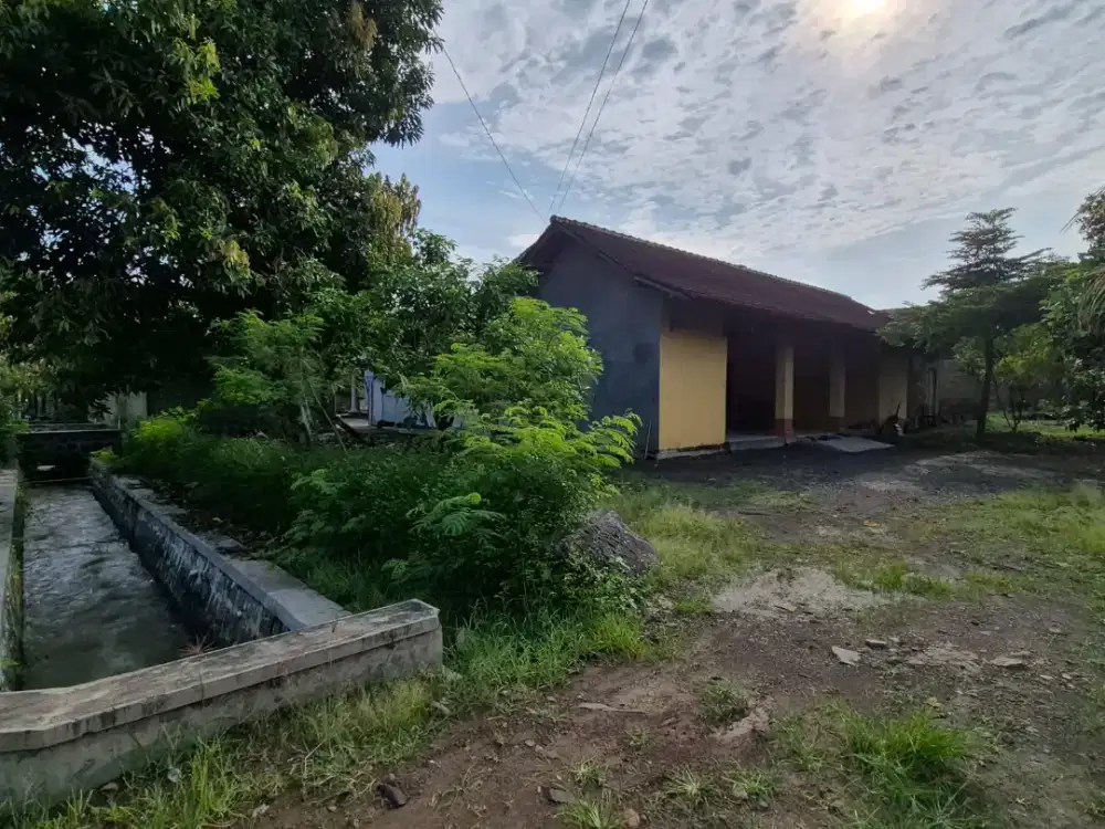 DISEWAKAN RUMAH PINGGIR JALAN RAYA SRAGEN BATU JAMUS