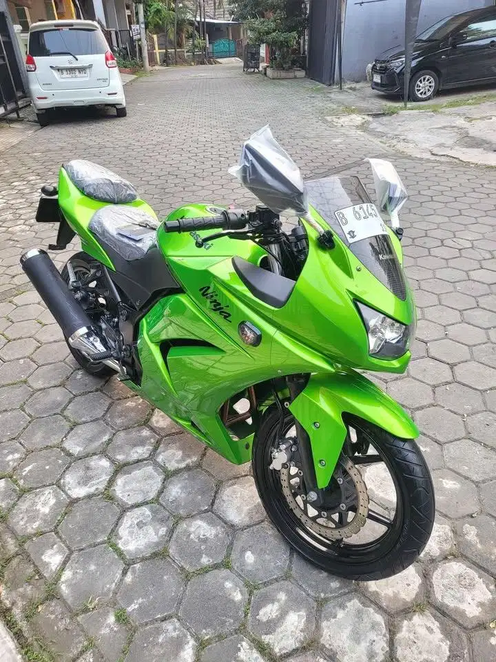 Ninja 250 Karbu