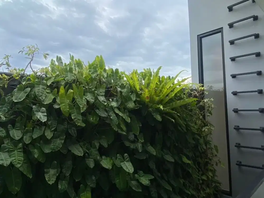 Dijual Rumah di Dalam Cluster Perumahan Mewah Sleman – Lingkungan Eksklusif