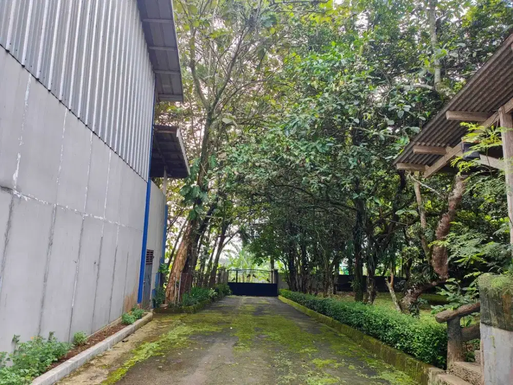 Tanah Dijual di Rancamaya Bisa Beli Separuh