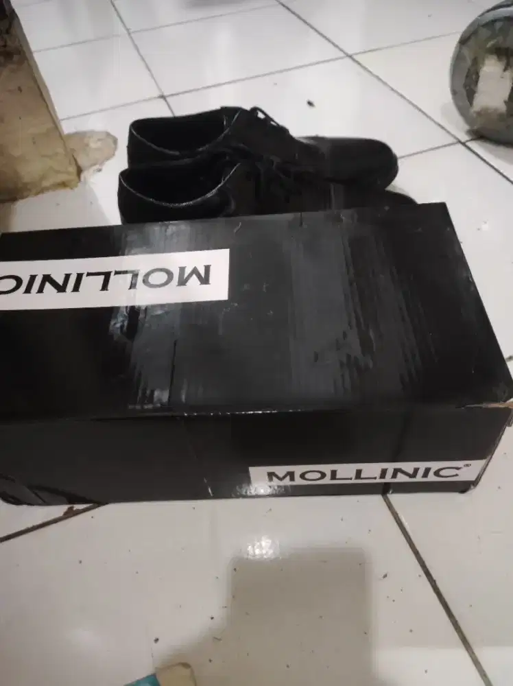 Sepatu merk  mollinic