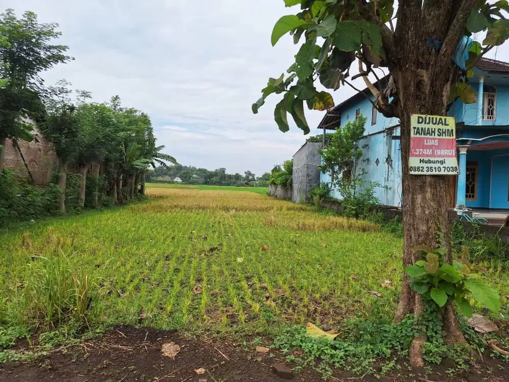 Dijual Tanah Sawah Lingkungan Nyaman, Tenang