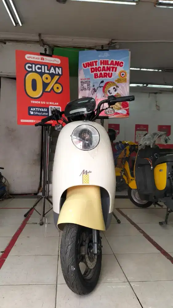 Sepeda Listrik Luyuan moda 2