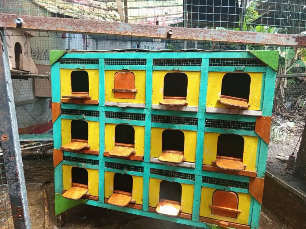 Kandang merpati 12 pintu