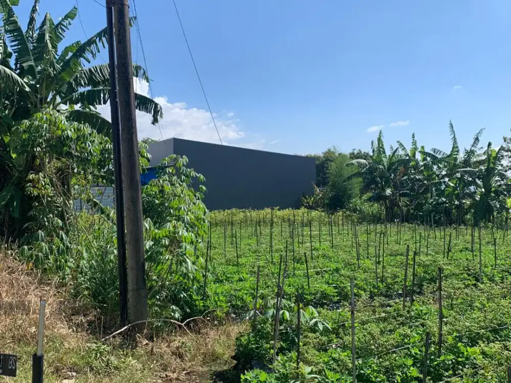 Tanah Dijual Dekat Pusat Kota dan Fasilitas Umum