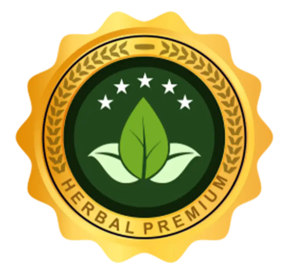 Dibutuhkan 5 orang terbaik