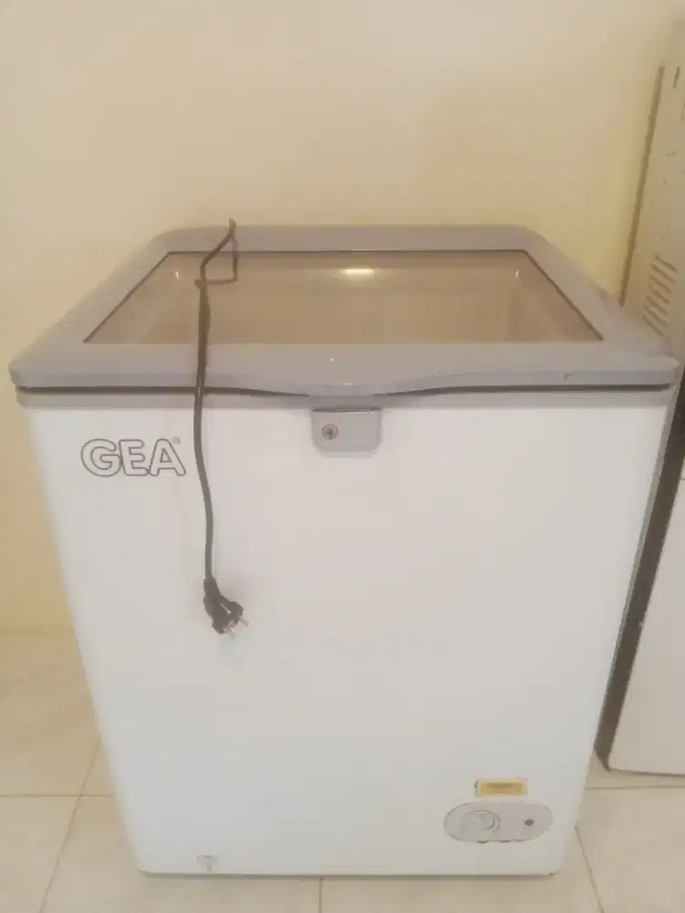 Frezzer box GEA 100 Liter