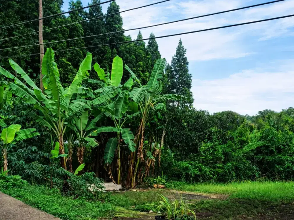Tanah Strategis Sayap Setiabudi – Siap Konstruksi