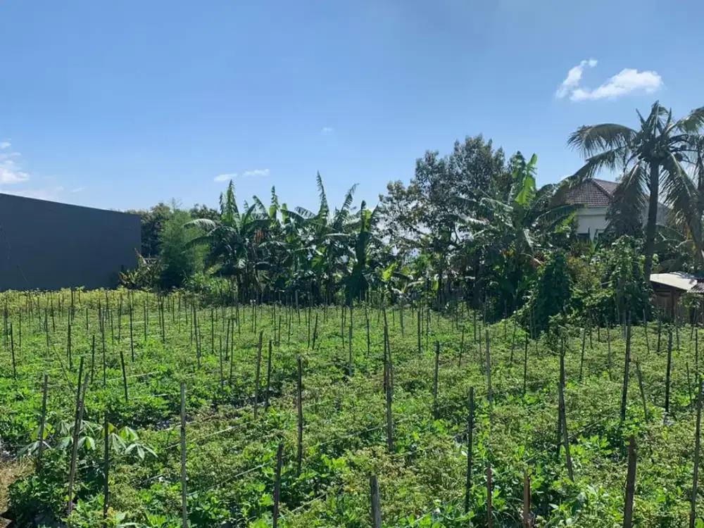 Tanah Kavling Dengan Akses Mudah! Tanah Dekat Sekolah, Pasar, dan Kota