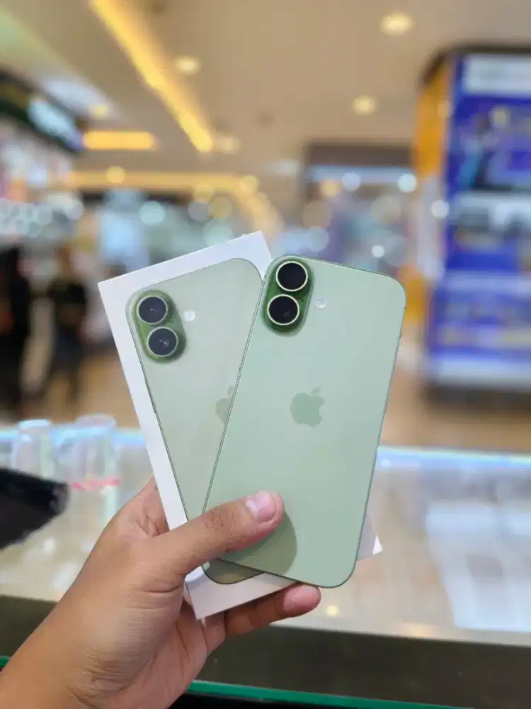 IP 17 256 On garansi