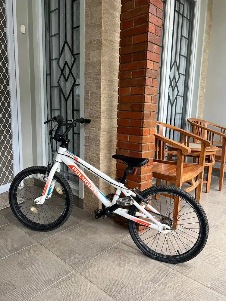 Sepeda Polygon putih