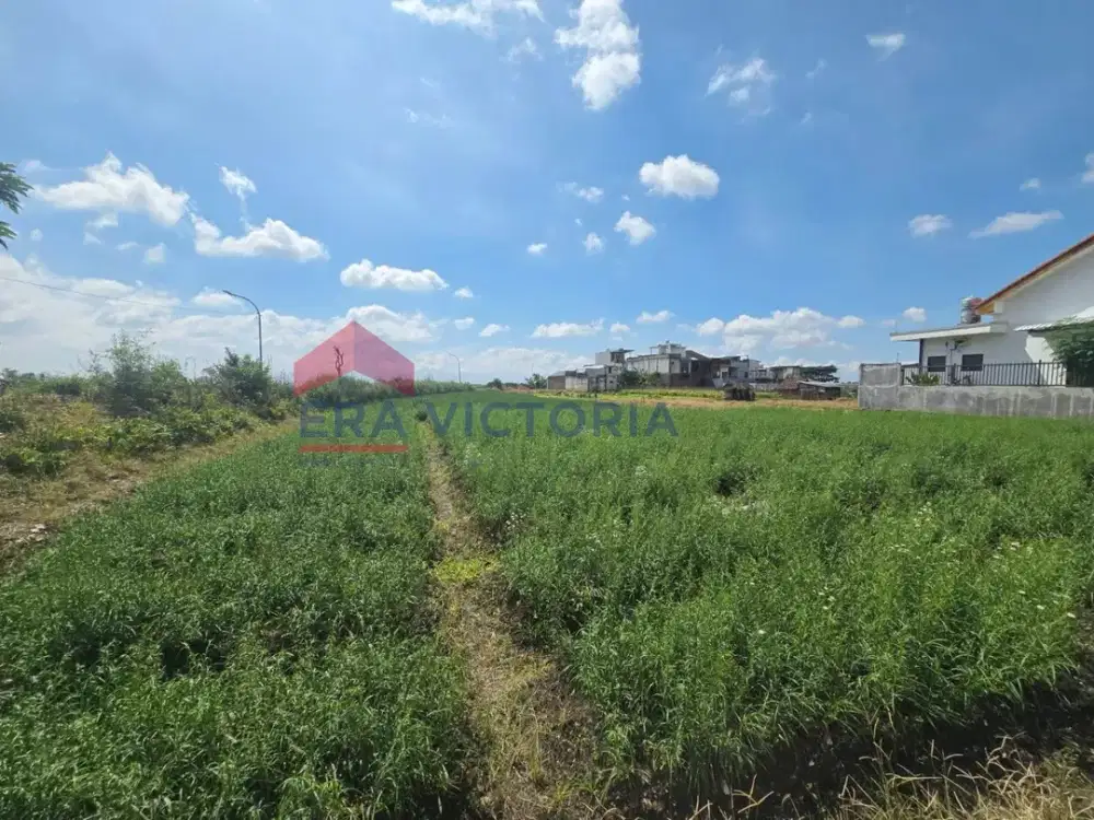 Kavling Hook Kota Batu Dekat Taman Wilis – Lokasi Langka & Prospektif