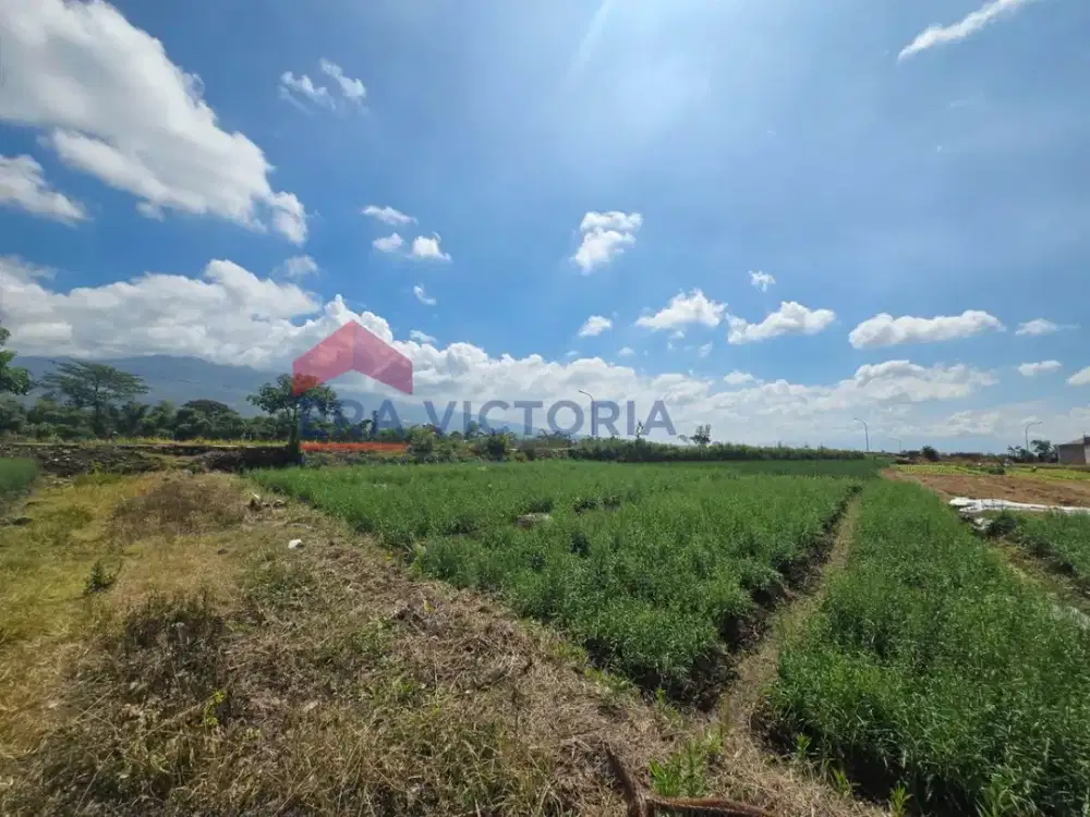 Kavling Hook Murah Kota Batu Dekat Fasilitas Umum & Pusat Kota