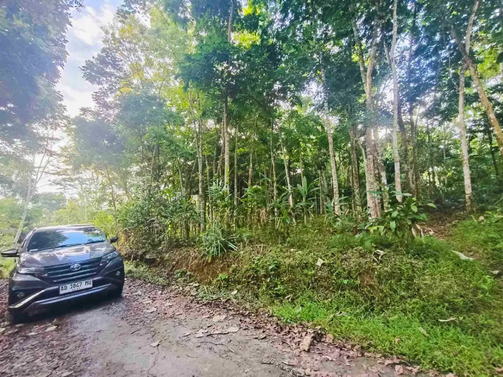 Tanah murah banget karangpandan karanganyar