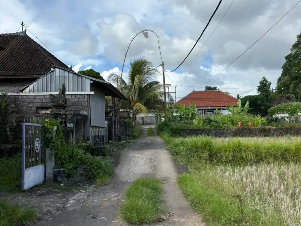 Jual Tanah Murah  View Sawah Di Pejeng Kawan Jalur Dekat Ke Ubud Bali.