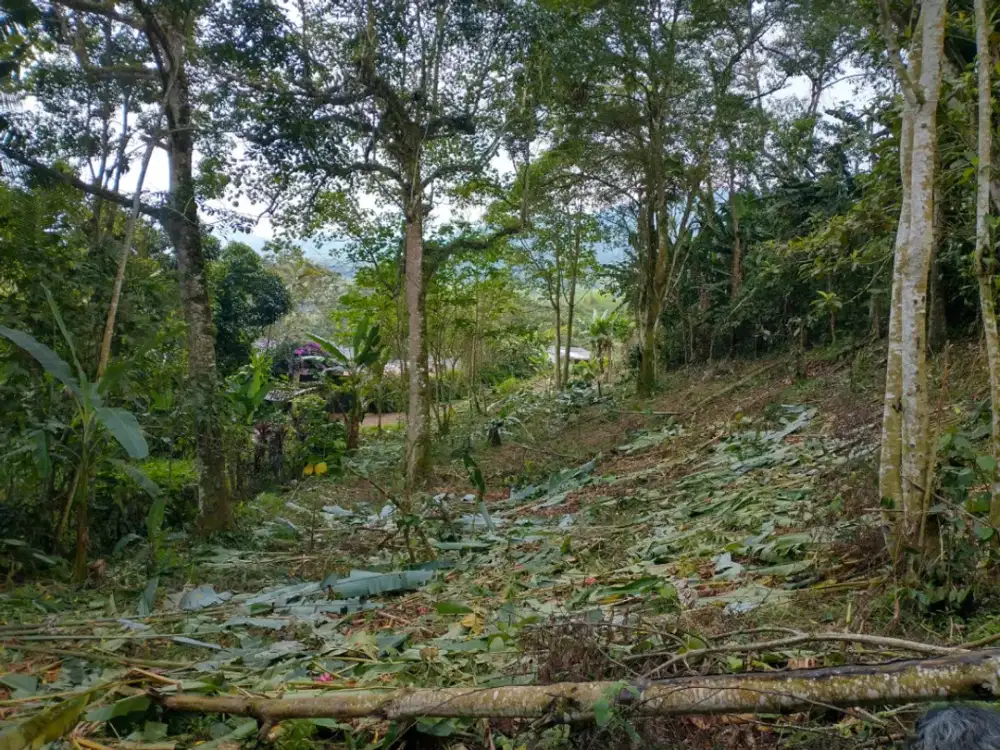 Apartemen Sherwood Kelapa Gading