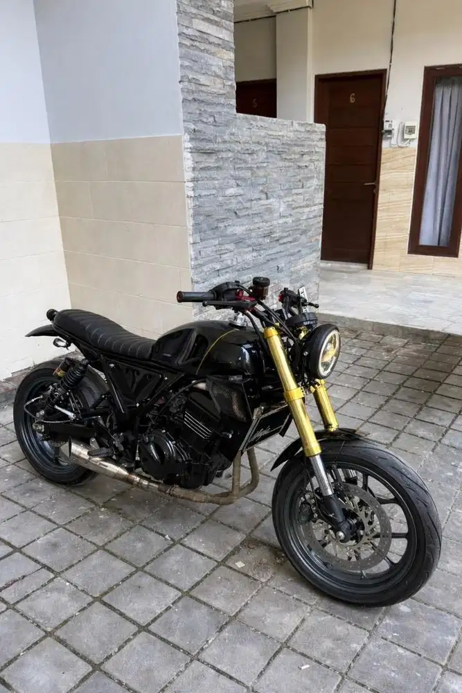 Kawasaki ninja 250 2012