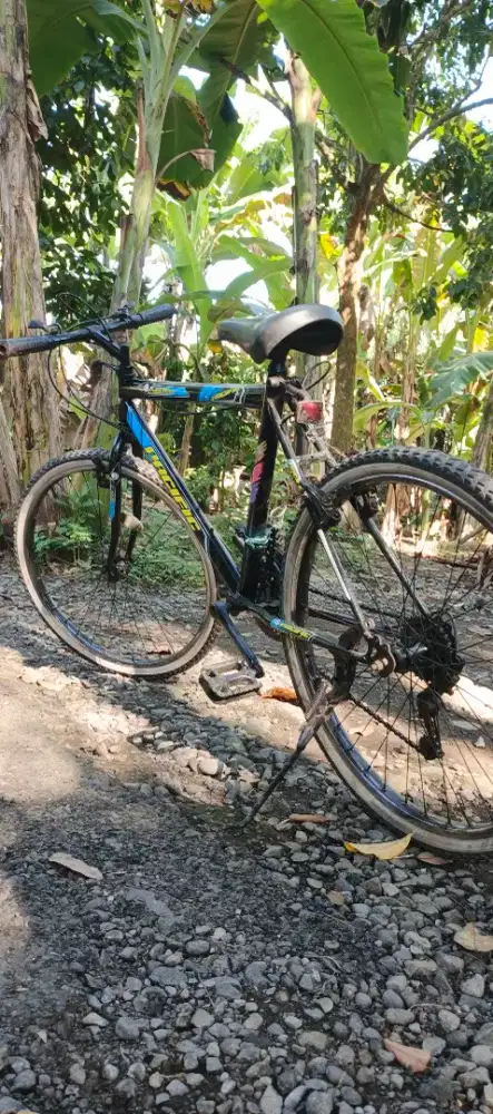 Speda bekas speda gunung