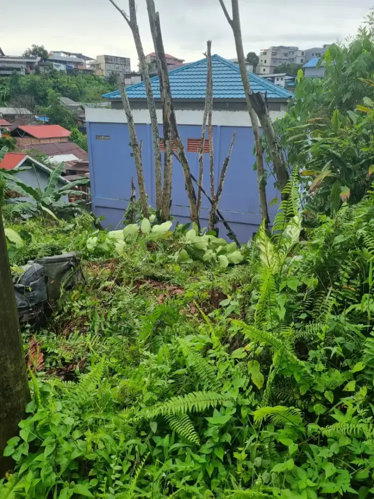 Tanah 10×15 sumberjo mawija.