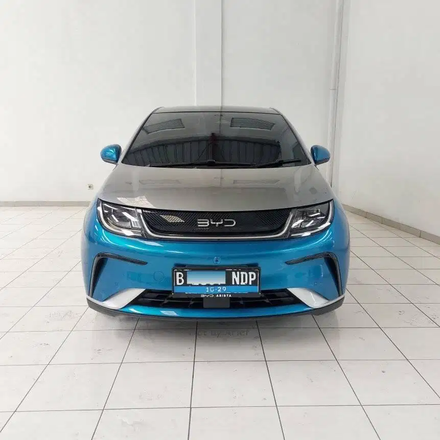 BYD Dolphin Premium 2024