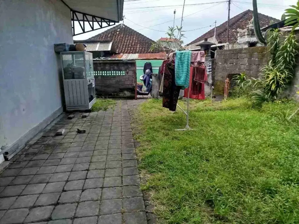 BUC DIJUAL TANAH BONUS RUMAH LAYAK HUNI 2 KAMAR DI DENPASAR UTARA