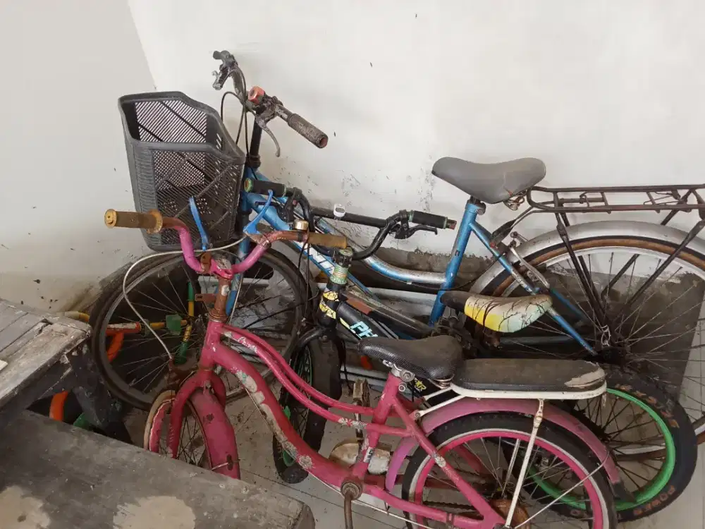 Sepeda united, pasific