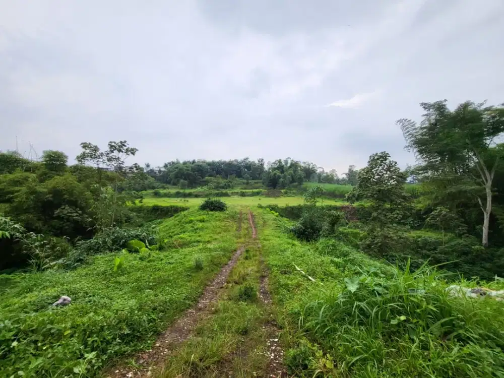 Tanah Malang Wagir Dekat Kota