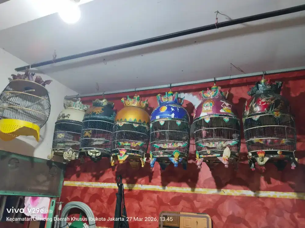 Borongin semua 7 kandang