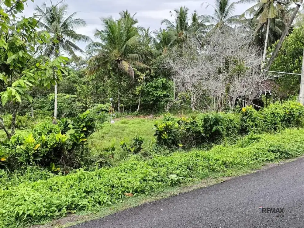 Tanah 57,3 Are di Lingkungan Villa Dijual, di Selemadeg Tabanan Area