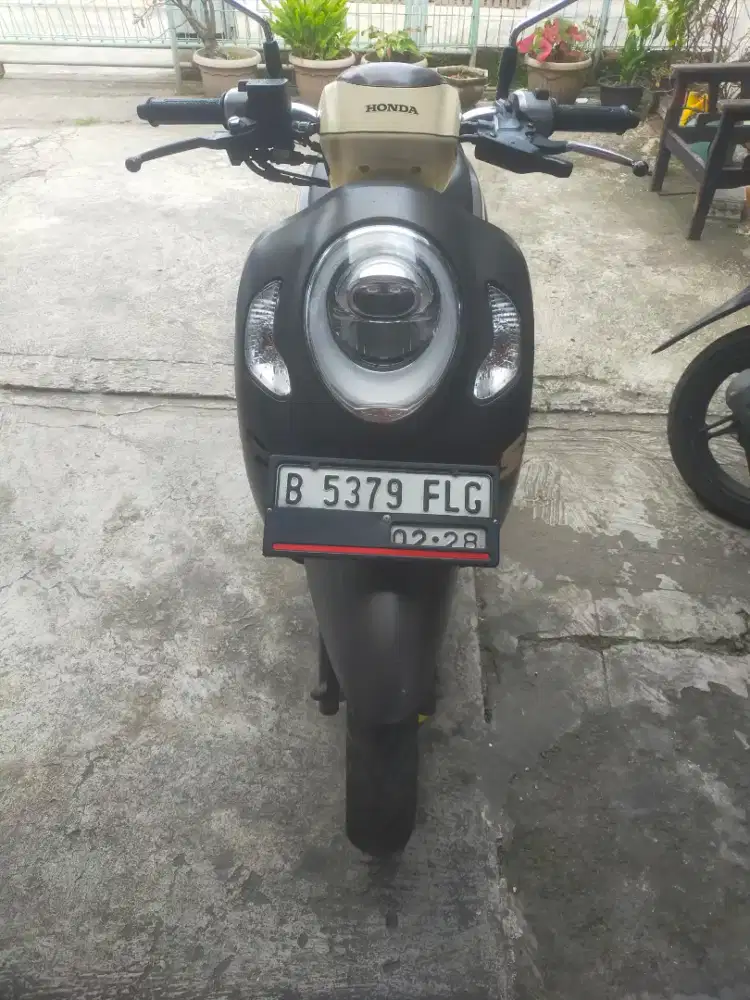 Honda SCOOPY tahun 2023