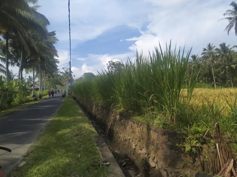 Dijual Tanah 6300 M2 lokasi cocok untuk Villa / Tempat Yoga / Sekolah