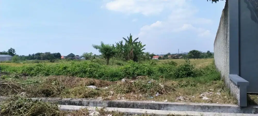 Dijual Tanah 450m² SHM Jl. Menjangan Putra – Strategis & Siap Bangun