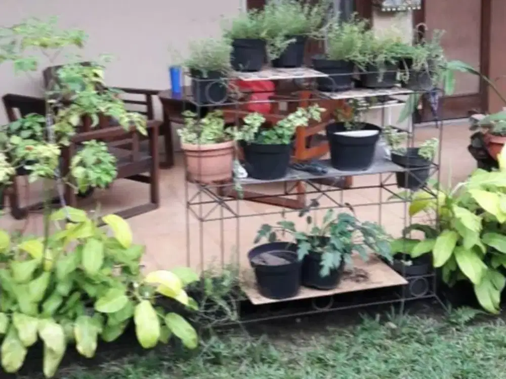 RUMAH IDAMAN LOKASI KOTA BOGOR, MASIH NEGO SAMPAI JADI