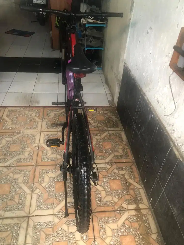 Sepeda united miami 300