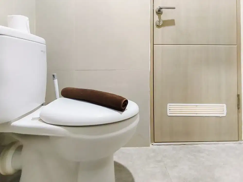 Apartemen Grand Dharmahusada Lagoon